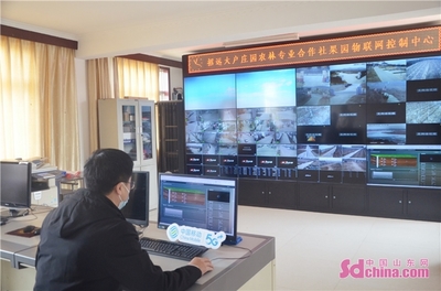 移動(dòng)數(shù)智力量賦能特色高效農(nóng)業(yè) 以大戶莊園為例看物聯(lián)網(wǎng)設(shè)備銷售新機(jī)遇