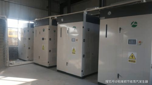 超低氮蒸汽發生器助力腐竹生產 生產效率成倍飆升